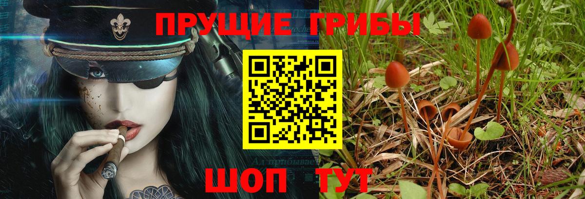 Галлюциногенные грибы мицелий  Вход с VPN  Псилоцибиновые грибы Magic Shrooms  Кировск 