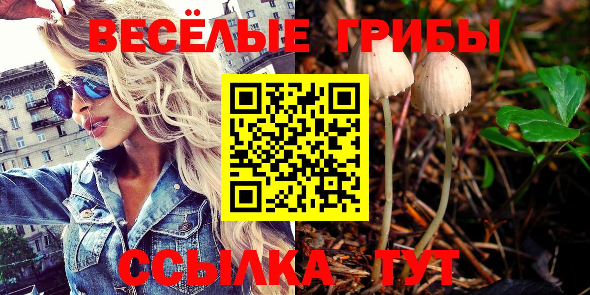 Псилоцибиновые грибы мухоморы Кировск